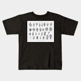 Genera of Shells Kids T-Shirt